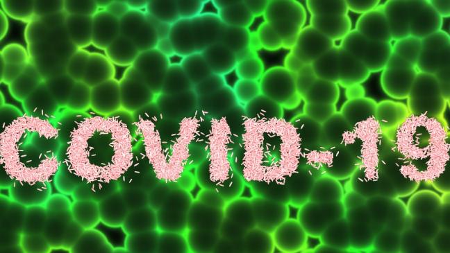 Weitere Todesopfer in Papenburg