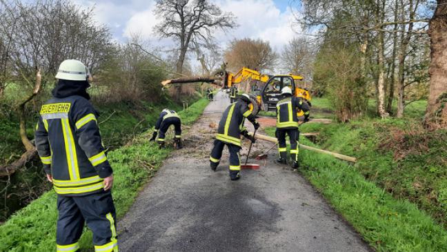Baum musste sich »Eugen« beugen