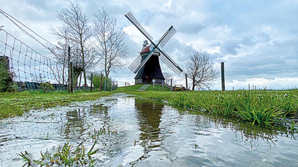  © Foto: Gerrit Denekas