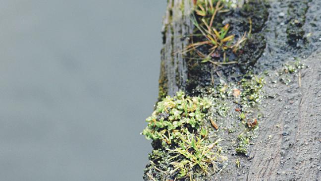 »An Wünschen der Anlieger vorbei«