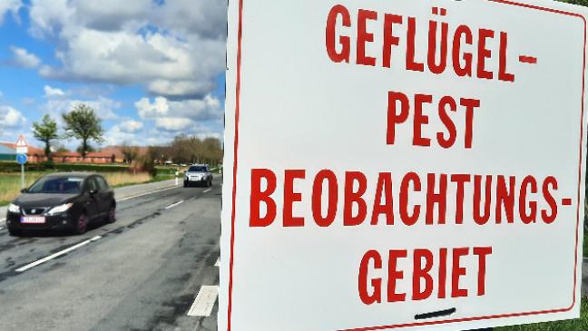 Lehren ziehen aus der Seuche