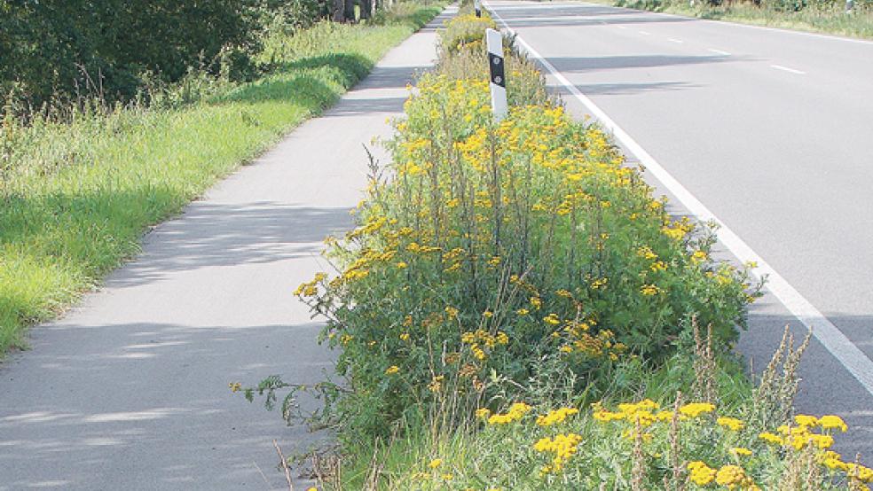 Der BUND Ostfriesland fordert noch mehr Randstreifen im öffentlichen Raum.  © Foto: BUND