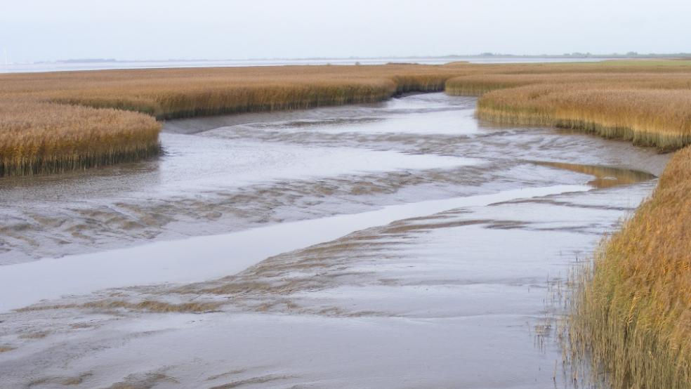 In der Sitzung des Gemeinderates am 19. April, sie fand als Hybridsitzung statt, stimmte die CDU gegen den Beitritt der Gemeinde zum Biosphärenreservat Wattermeer.  © Szyska