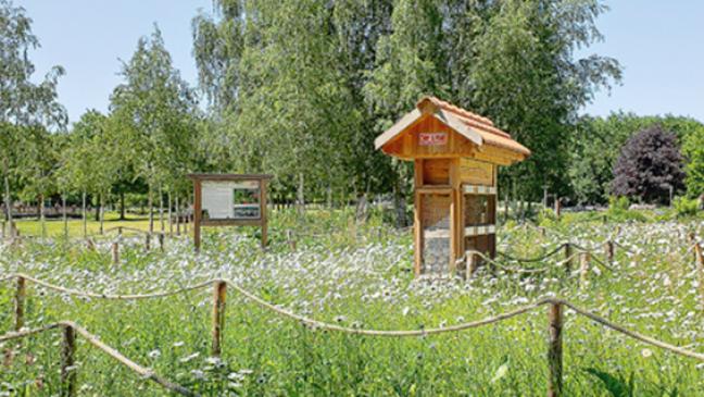 Papenburger Gartenbauzentrale setzt ab sofort auf Demeter-Anbau