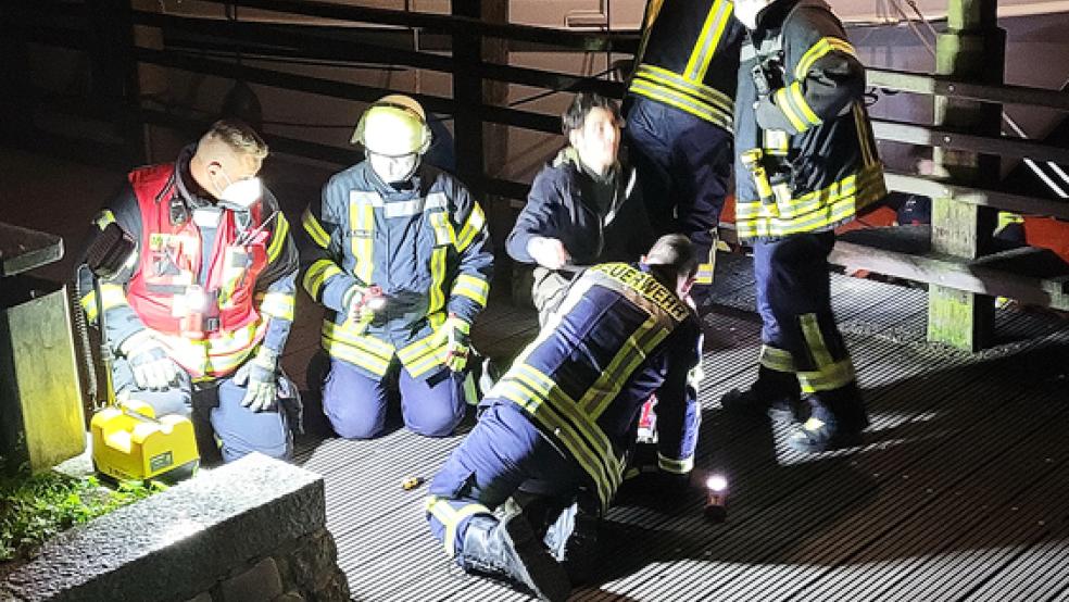 Eine Katze hat die Feuerwehr Leer in der vergangenen Nacht aus der Uferpromenade am Hafen in Leer befreit.  © Foto: Wolters