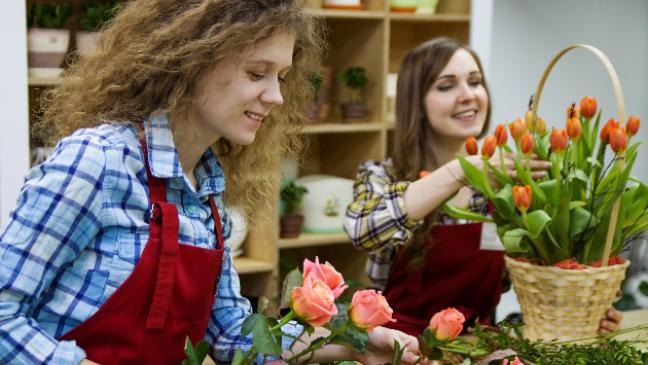 Gewerkschaft kritisiert Niedriglöhne in der Floristik