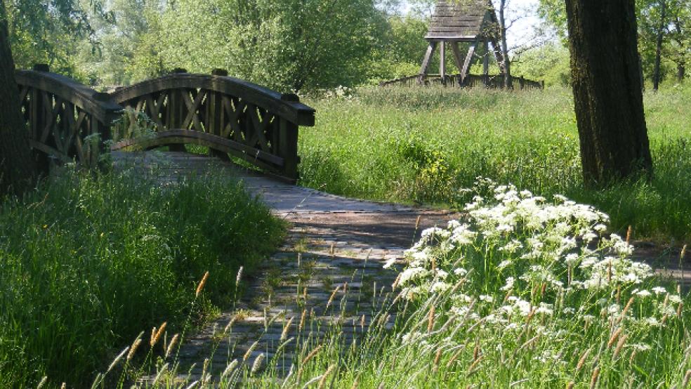 Über sechs Kilometer lang sind die Wege, die sich durch das Naherholungsgebiet schlängeln. © Foto: Szyska