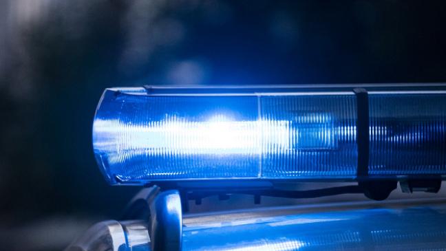 Kfz-Anhänger und Kompaktlader gestohlen