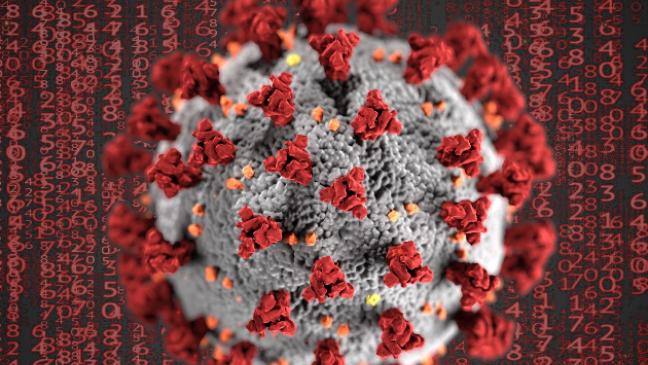 Nun 61 Corona-Tote im Kreis Leer