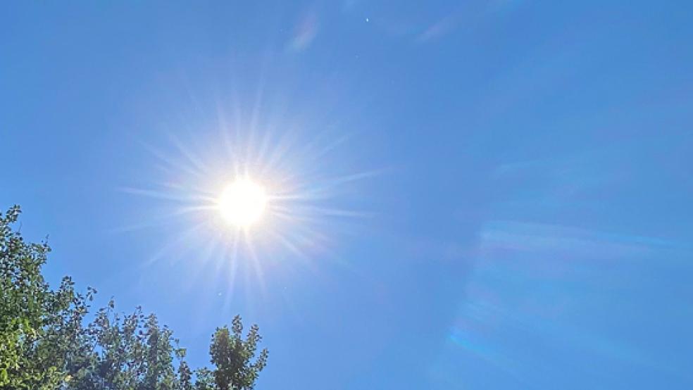 Sengende Sonne - die Hitze kann zur Todesfalle hitzen, wenn Kinder und Tiere im Auto eingeschlossen sind.  © Foto: Hanken