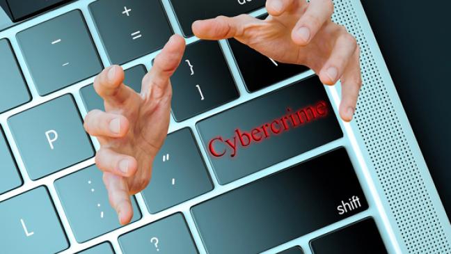 Weeneraner im Internet »abgezockt«