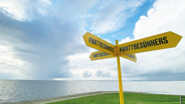 Watt ein Wunder: Entdeckungstour vor der Haustür