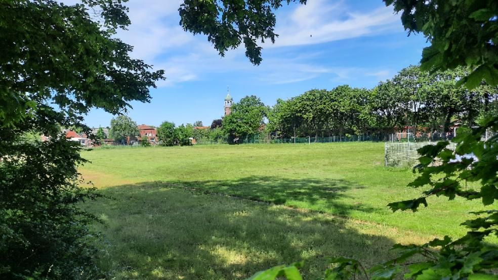 Der Sportplatz der Carl-Goerdeler-Schule lag wegen mangelnder Pflege seit Jahren brach, seit gestern findet dort wieder Sportunterricht statt. © Foto: Szyska