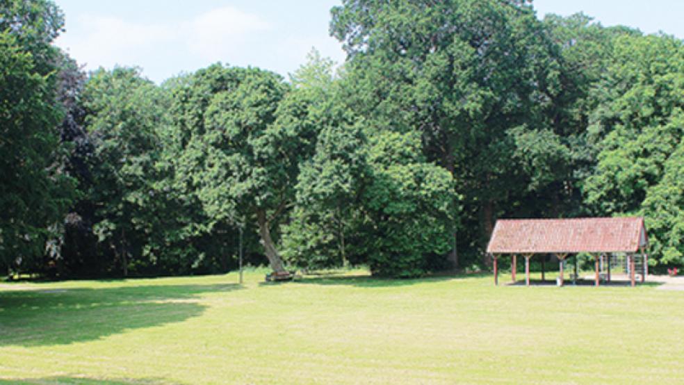 Die Bäume im Stapelmoorer Park sind in keinem guten Zustand. Über 100 müssten gefällt werden, bei zahlreichen weiteren müssten zumindest die Kronen beschnitten werden.  © Foto: Berents