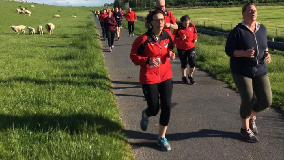 Auf dem Deichverteidigungsweg zwischen den Schafen hindurch geht es beim Schaapködelloop zurück von Midlum nach Jemgum zum Vereinsheim des SV Ems.  © Foto: SV Ems Jemgum