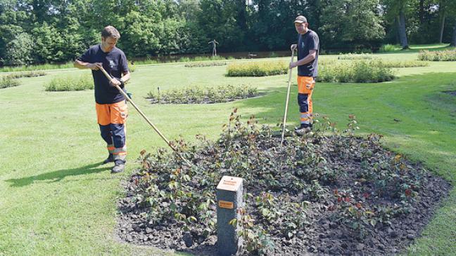 »Queen Máxima« beginnt ihre fünfte Saison