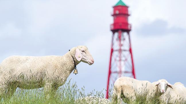 »Ostfriesischer Eiffelturm« wieder geöffnet