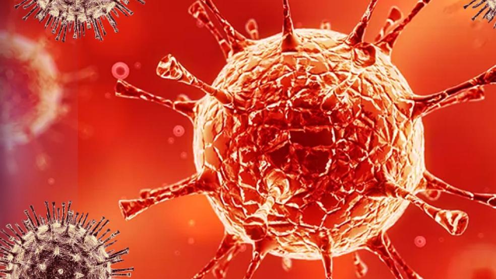 Im Landkreis Leer gibt es seit heute keinen der Leeraner Kreisverwaltung bekannten akuten Coronafall mehr. Auch das Rheiderland ist 