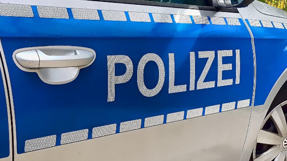 Die Polizei bittet um sachdienliche Hinweise zum Diebstahl von zwei Schafen. © Symbolfoto: Pixabay