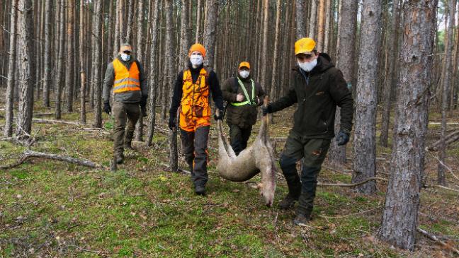 Jagdwesen steht hoch im Kurs