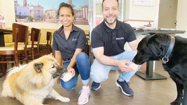 Wie Hunde zu Naschkatzen werden
