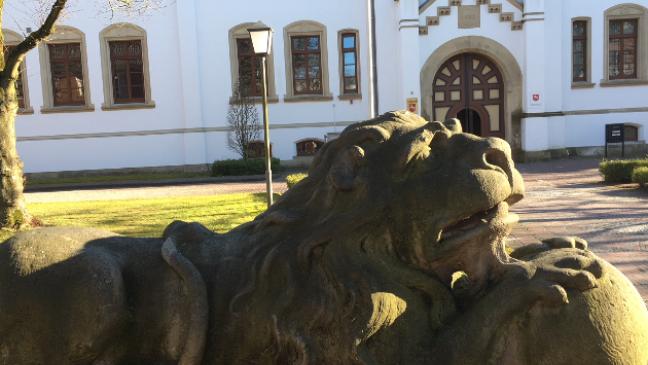 »Ich wusste nicht, wem ich glauben sollte«