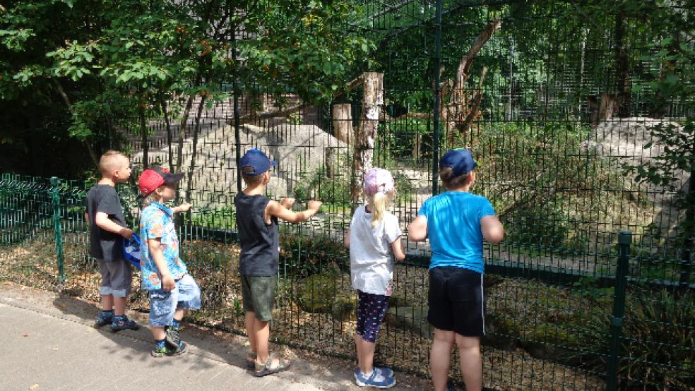 An den Ausflug in den Tierpark Thüle werden die Kinder sich wohl noch lange erinnern. © Foto: Mikado/Lebenshilfe Leer