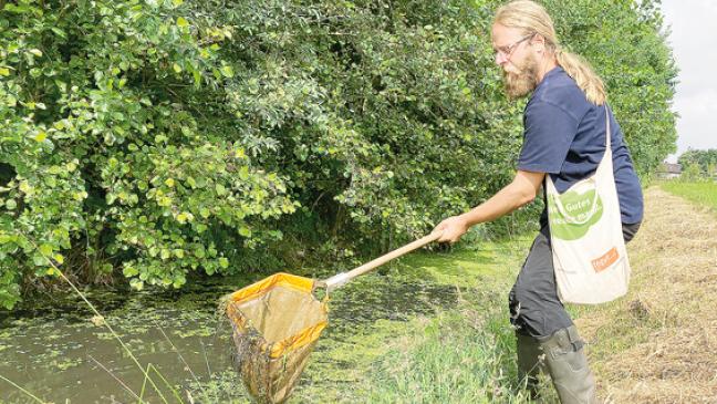 Was rund um die Gleise kreucht und fleucht
