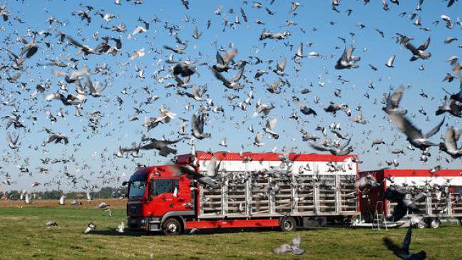 Folkert Schröder liegt auf Platz 1
