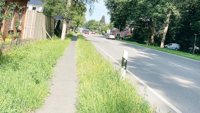 Immer noch »Ring frei«