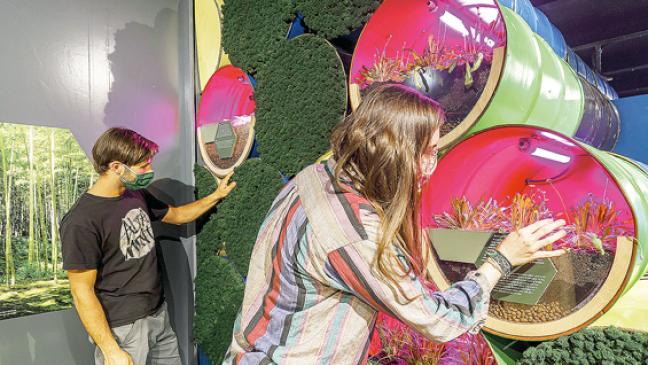 Nachhaltige Wirtschaft mit »Bio-Ökonomie«