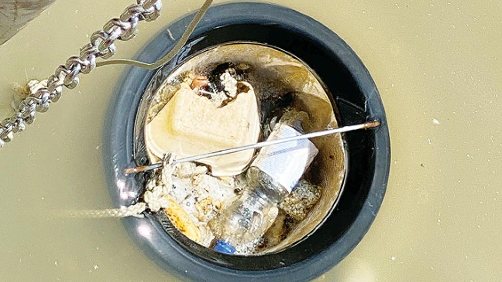 Jeden Tag landen Plastikreste im »Seabin«.  © Foto: Stadtwerke