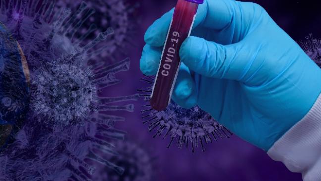 Kein aktiver Corona-Fall mehr im Rheiderland