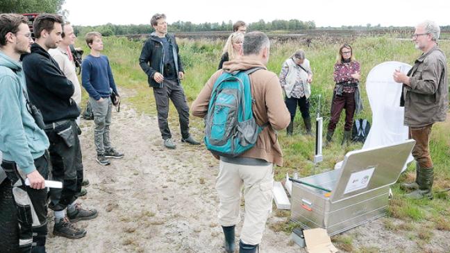 Insekten in ostfriesischen Mooren entdecken