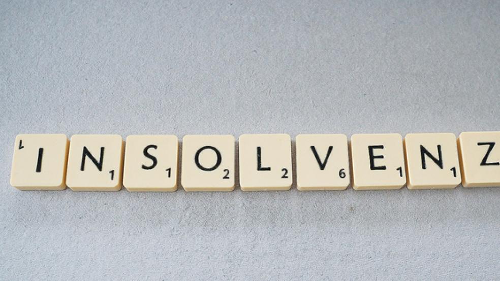 Die Zahl der Privatinsolvenzen hat ostfrieslandweit zugenommen.  © Foto: pixabay