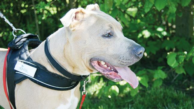 Ein wahrer Menschenfreund