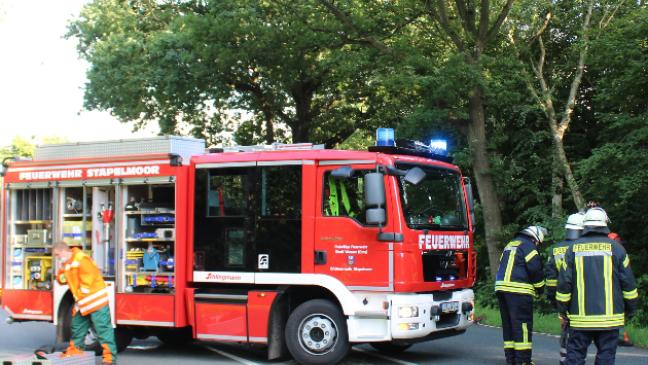 Feuerwehr musste Baum fällen