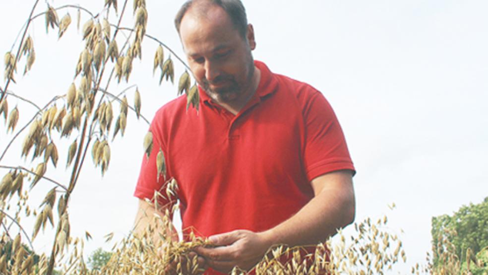 Georg Penon baute in diesem Jahr Konservenerbsen, Hafer und Dinkel an. Beim Öko-Landbau sei es wichtig, Fruchtfolgen zu beachten, sagt der Rheiderländer.  © Foto: Berents
