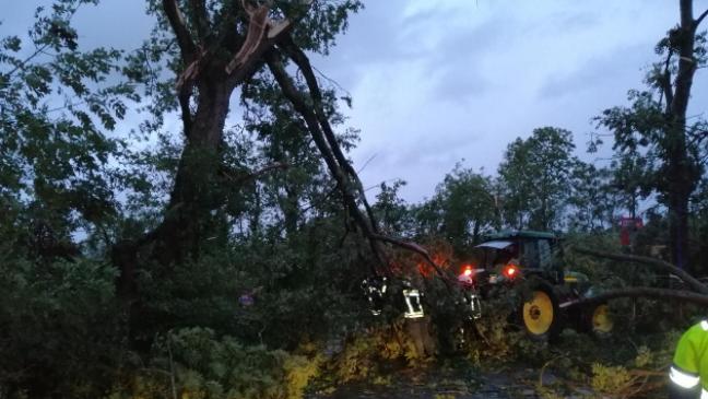 Wirbelsturm war ein mittelschwerer Tornado