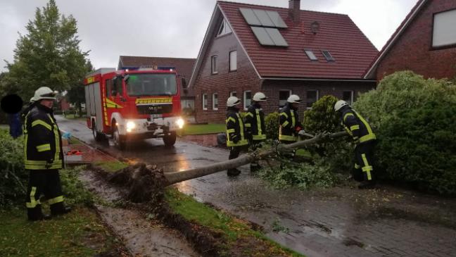 Feuerwehr beseitigt umgestürzten Baum