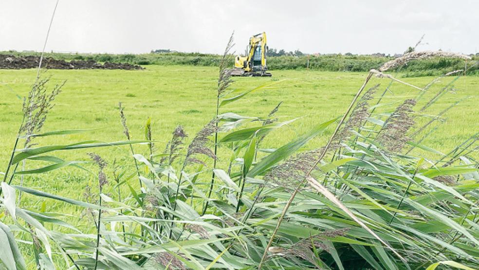 Auch ein Bagger kommt im Bereich Amelborgster/Toter Weg zum Einsatz.  © Foto: Boelmann