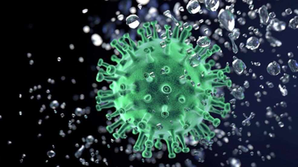 Die Delta-Variante des Corona-Virus beherrscht auch im Landkreis Leer das Infektionsgeschehen.  © Synbolbild: Pixabay