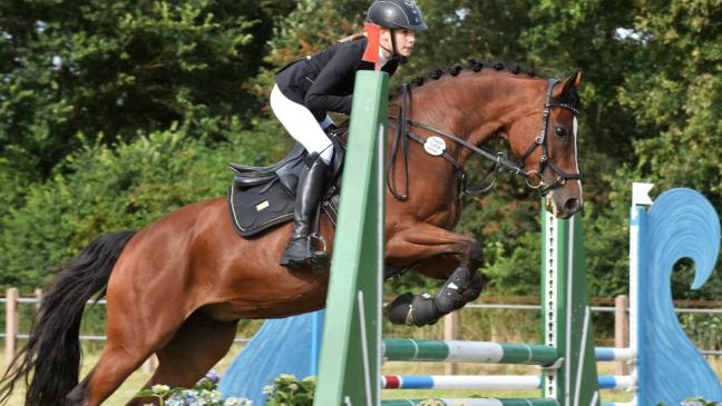 Timmeler richten abgespecktes Turnier aus