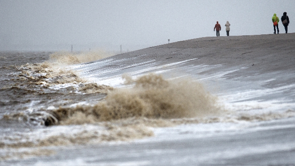 Die Deiche entlang der niedersächsischen Nordseeküste haben eine vergleichsweise ruhige Sturmflutsaison hinter sich. Das Archivfoto entstand in Norddeich. © Archivfoto: Balk (dpa)