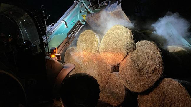 Beißender Geruch am Abend