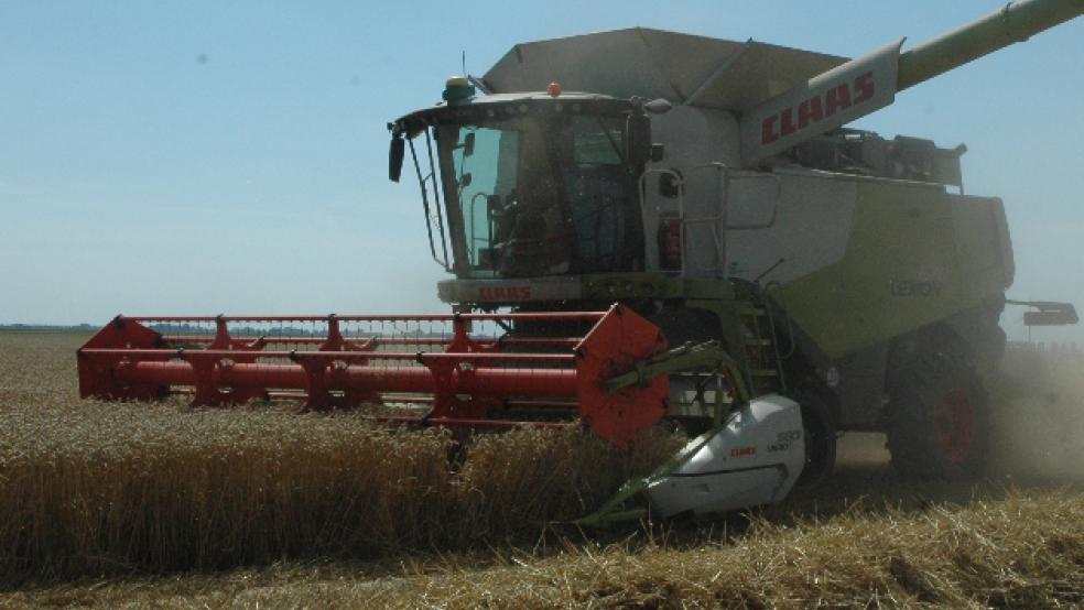 Auf dem Polder - hier bei Familie van Lessen in Bunderhee - ist die Getreide-Ernte nun weitgehend eingefahren. © Archivfoto: Szyska