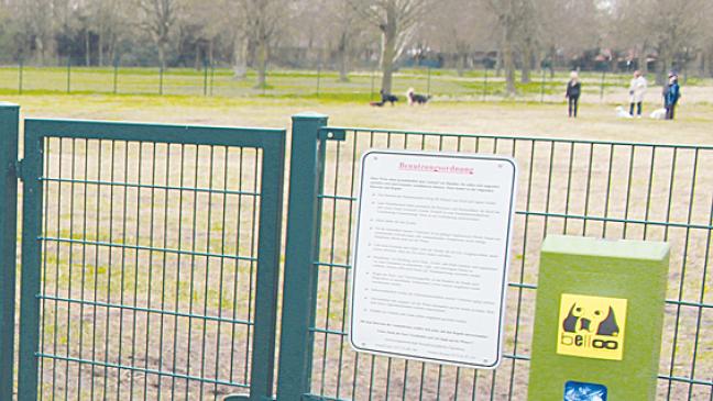 Freier Auslauf für Hunde im Julianenpark