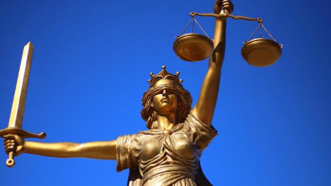 NABU zeigt Stadt Emden an