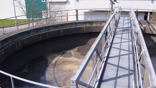 Abwasser: Jemgum will wieder eine Kläranlage