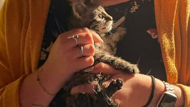 Feuerwehr rettet Katze aus Schacht